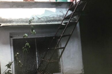 Let there be light! Courtyard garden at @a.b.salemhouse ~We removed several small and dingy room