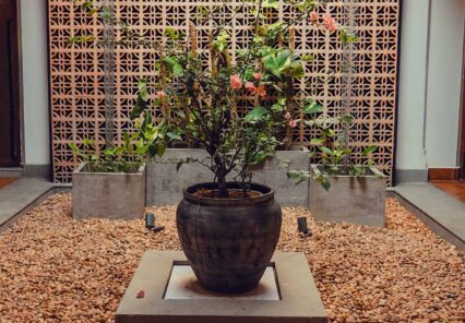 Heritage courtyard at Ezekiel House in Fort Kochi